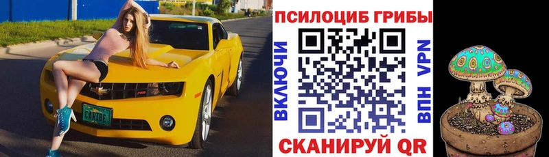 Купить где  Константиновск  Галлюциногенные грибы Psilocybine cubensis 
